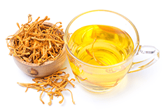 so-sanh-nam-dong-trung-ha-thao-tu-nhien-va-nuoi-cay-hinh-4